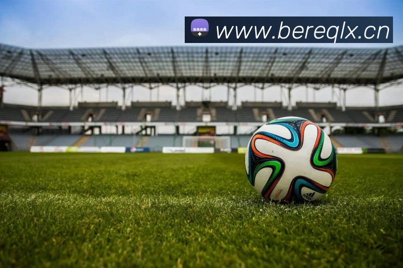 App Interface Preview